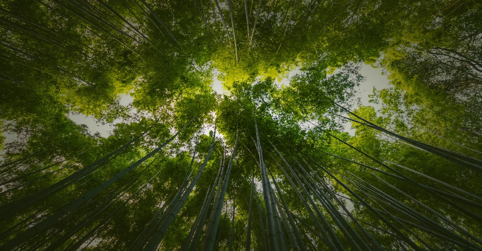 Our sustainability highlights