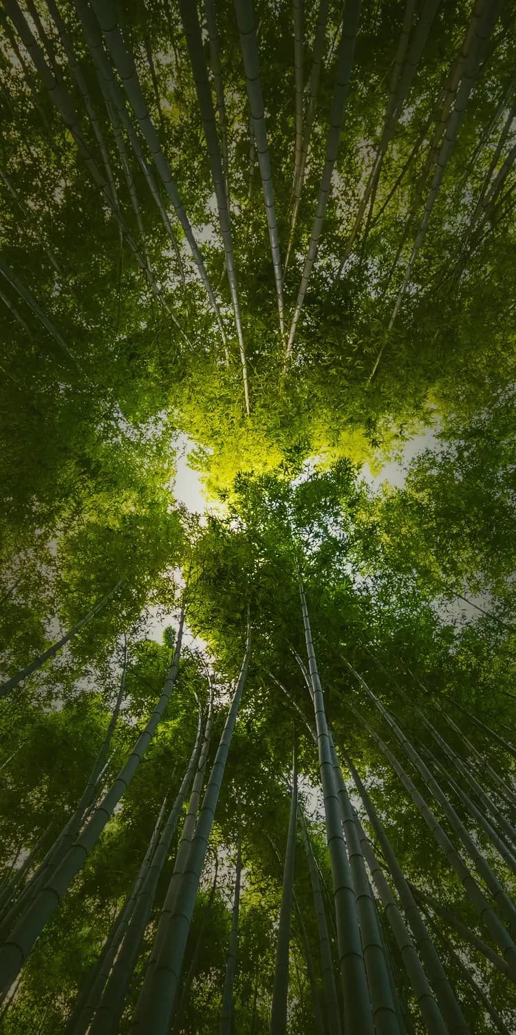 Our sustainability highlights