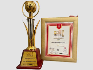 Golden Globe Tiger Awards - Dream Companies To Work For 2024